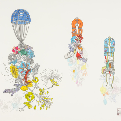 Studio Orta - Amazonia expedition drawing
