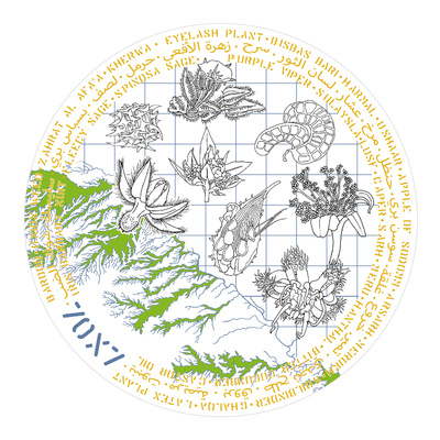 Studio Orta - 70 x 7 The Meal XLVI, Diriyah Biennale