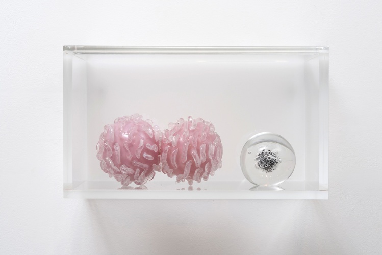 Studio Orta - 1260.02